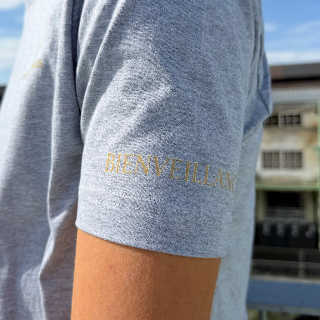 Tee-shirt Gris Icon