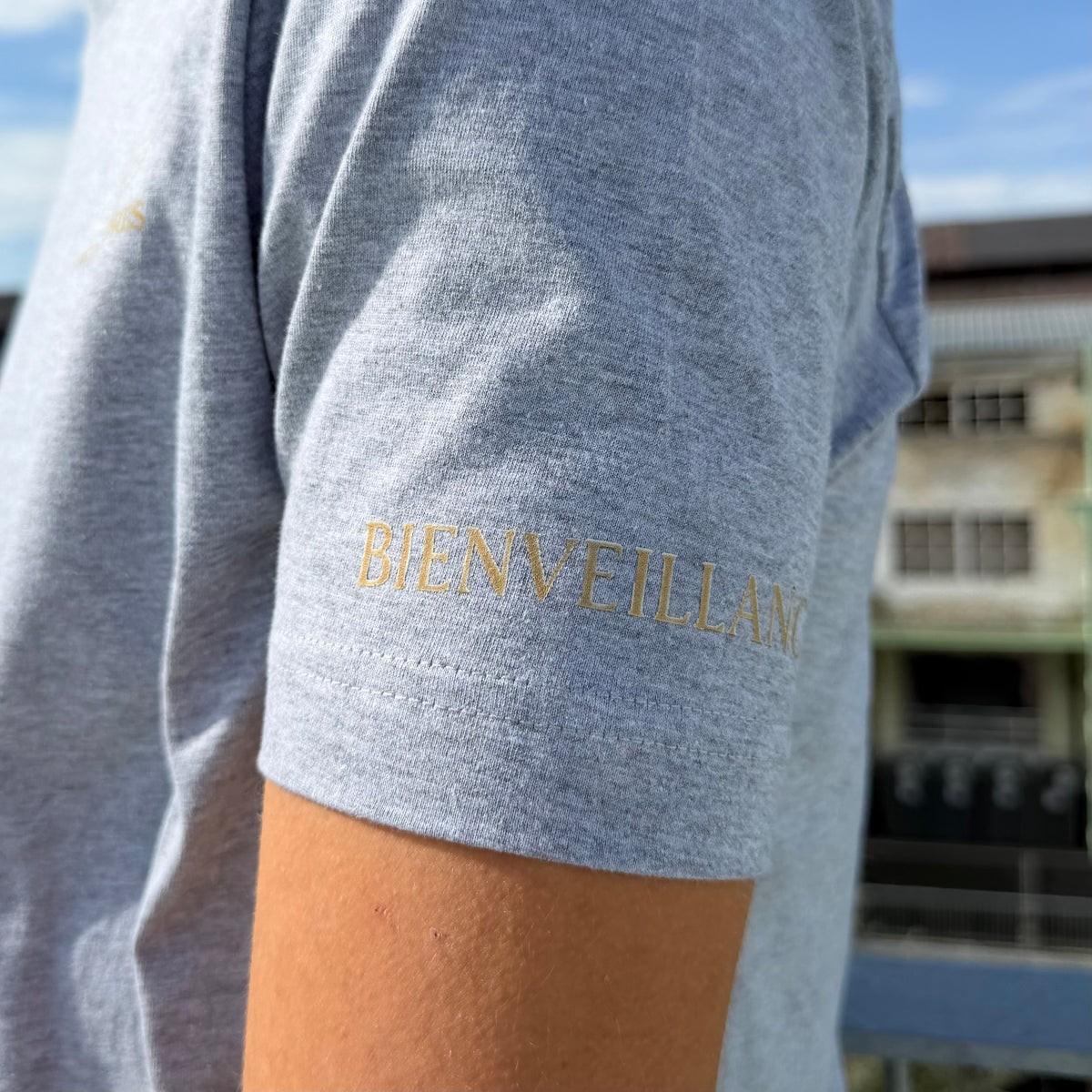 Tee-shirt Gris Icon