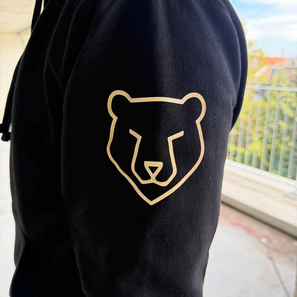 Hoodie Noir Chest