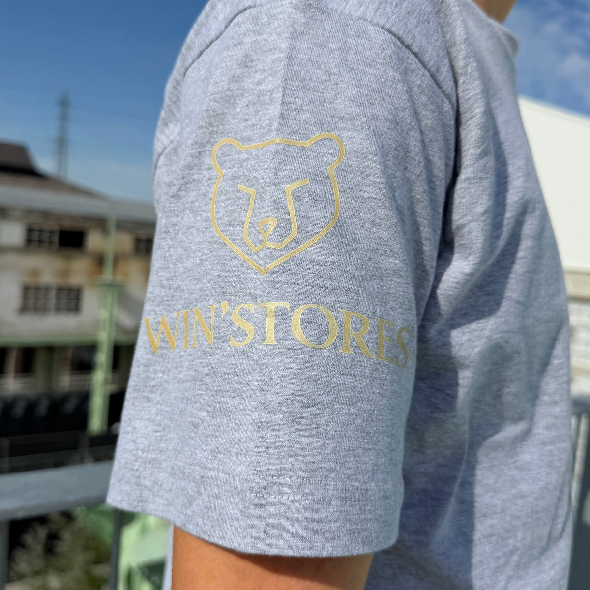 Tee-shirt Gris Icon