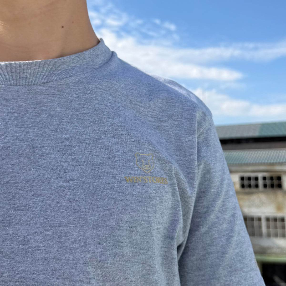 Tee-shirt Gris Icon