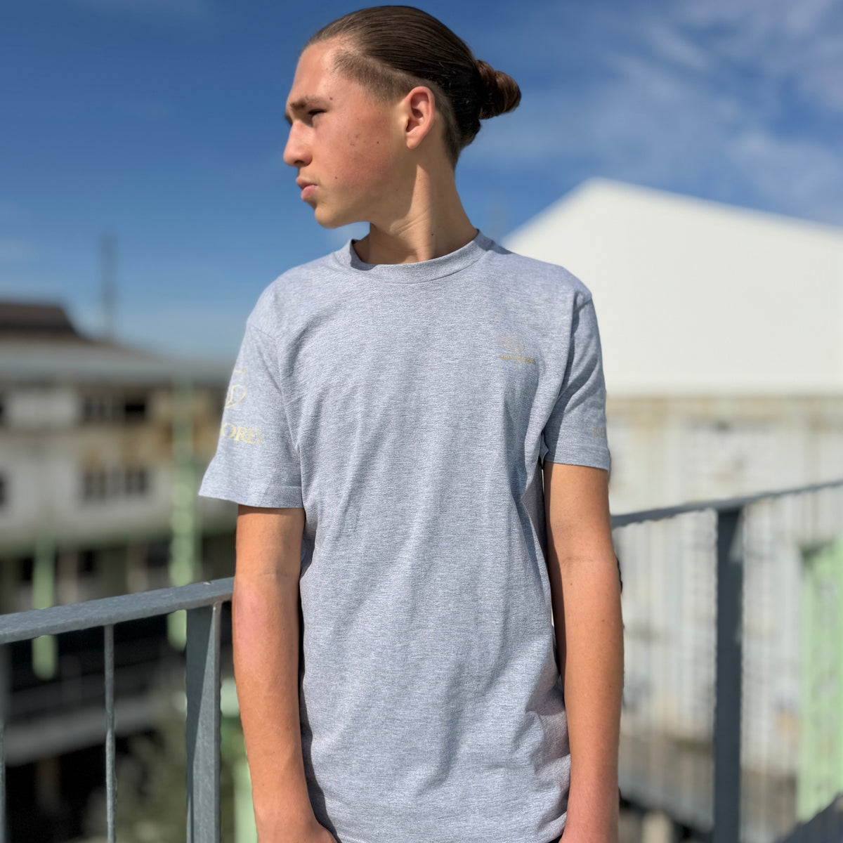 Tee-shirt Gris Icon